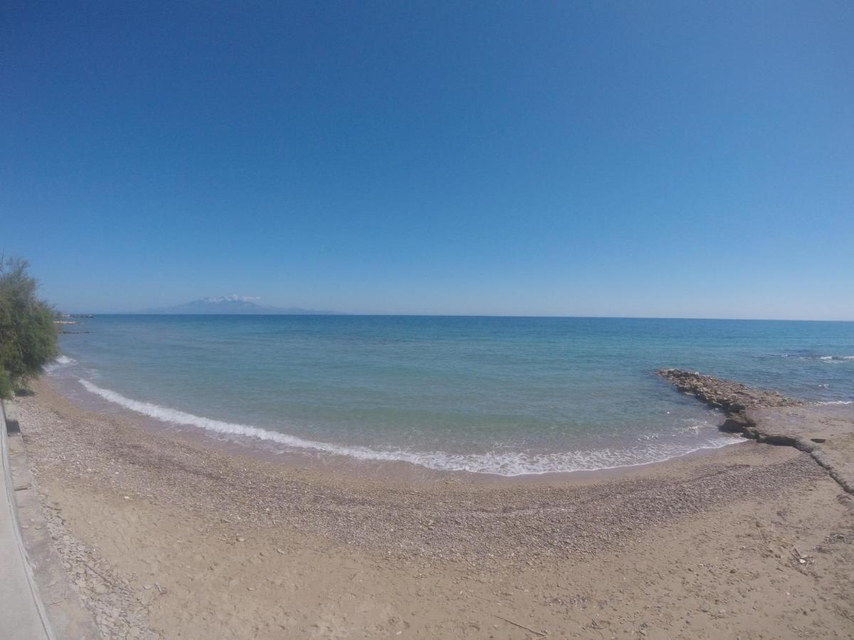 Psarou  Kimiro Drosia Zante B&B 외부 사진